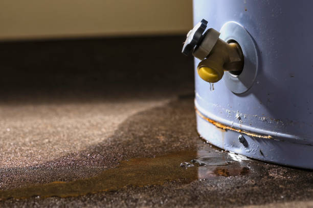 Best Water damage restoration near me  in Waterloo, IA