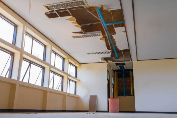 Best Residential water damage restoration  in Waterloo, IA