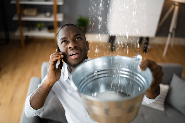 Best Carpet water damage restoration  in Waterloo, IA