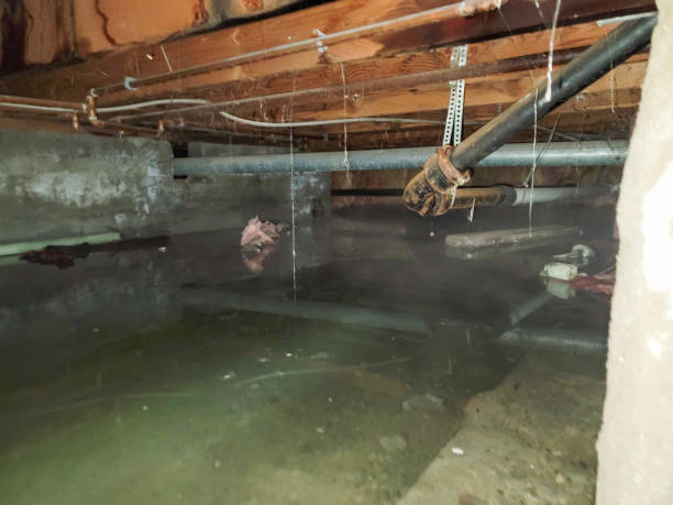 Reliable Waterloo, IA Water damage restoration Solutions