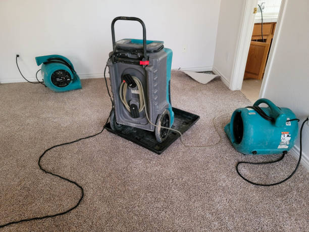 Best Water damage cleanup near me  in Waterloo, IA