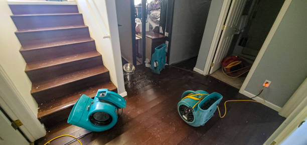 Best Mold removal after water damage  in Waterloo, IA