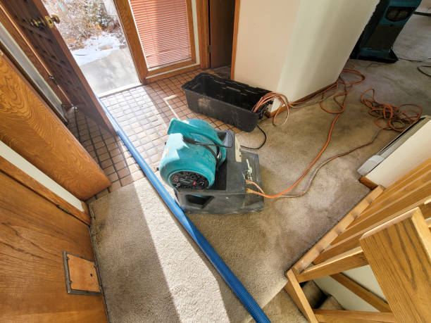 Best Basement water damage restoration  in Waterloo, IA