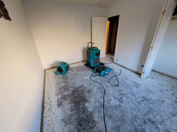 Best Local water damage restoration  in Waterloo, IA
