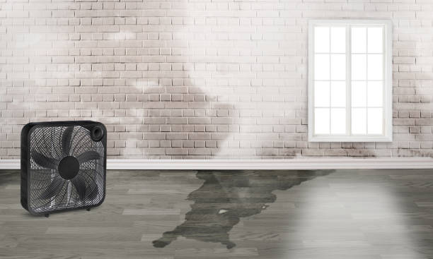 Best Professional water damage repair  in Waterloo, IA
