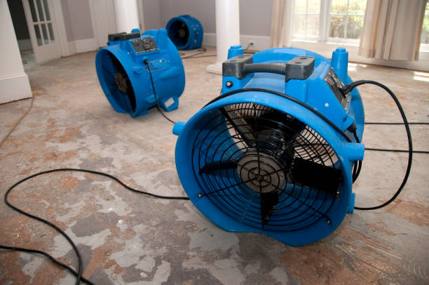 Best Water damage cleanup near me  in Waterloo, IA
