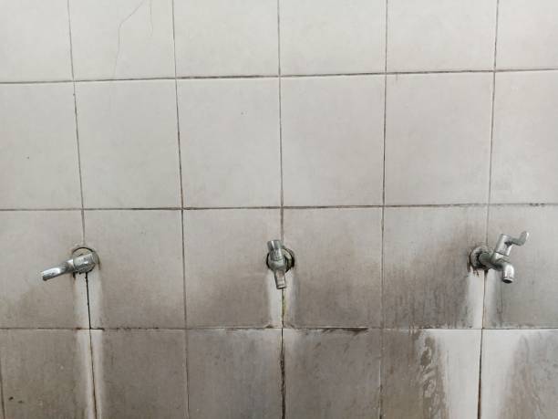 Best Flood damage cleanup  in Waterloo, IA