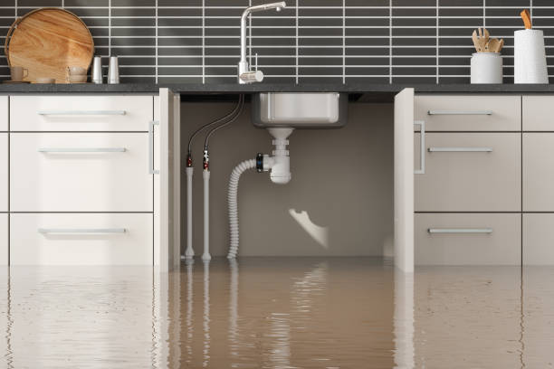Best Flood damage cleanup  in Waterloo, IA