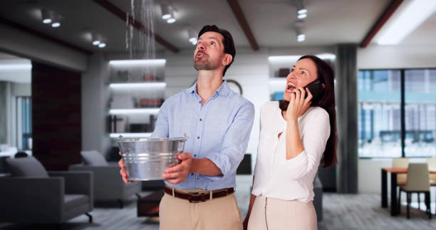 Best Commercial water damage restoration  in Waterloo, IA