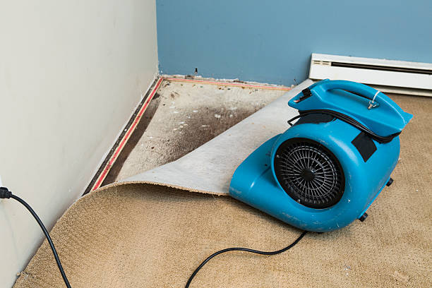 Best 24/7 water damage repair  in Waterloo, IA